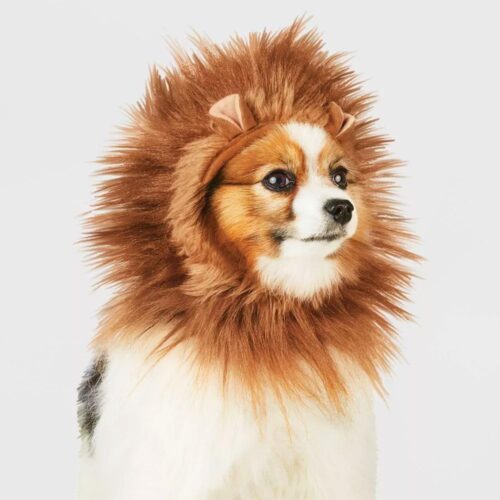 Hyde & EEK! Boutique Lion Ruff Headwear - Disfraz para perro y gato, color marrón, talla XXS/XS