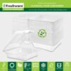 Freshware Recipientes compostables para alimentos con cubierta de almeja [paquete de 50 unidades de 8 x 8 pulgadas), contenedores desechables para llevar, cajas biodegradables de caña de azúcar para
