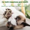 Potaroma Juguetes de hierba gatera, 3 piezas de juguetes para gatos, bolas de jaula de pino plateado natural y bola de campana para gatos de interior, limpieza de gatitos, molar matatabi, juguete