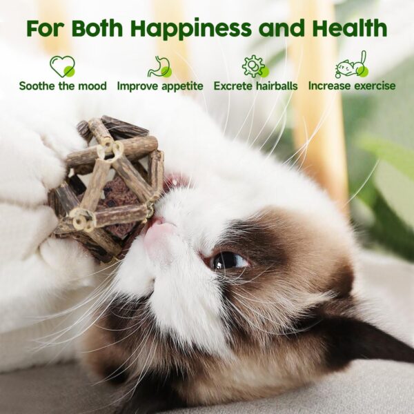 Potaroma Juguetes de hierba gatera, 3 piezas de juguetes para gatos, bolas de jaula de pino plateado natural y bola de campana para gatos de interior, limpieza de gatitos, molar matatabi, juguete