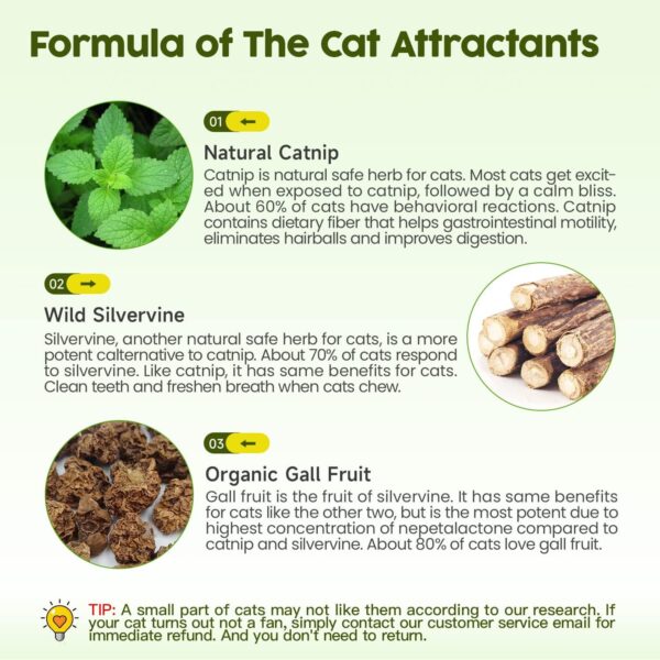 Potaroma Juguetes de hierba gatera, 3 piezas de juguetes para gatos, bolas de jaula de pino plateado natural y bola de campana para gatos de interior, limpieza de gatitos, molar matatabi, juguete