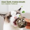Potaroma Juguetes de hierba gatera, 3 piezas de juguetes para gatos, bolas de jaula de pino plateado natural y bola de campana para gatos de interior, limpieza de gatitos, molar matatabi, juguete