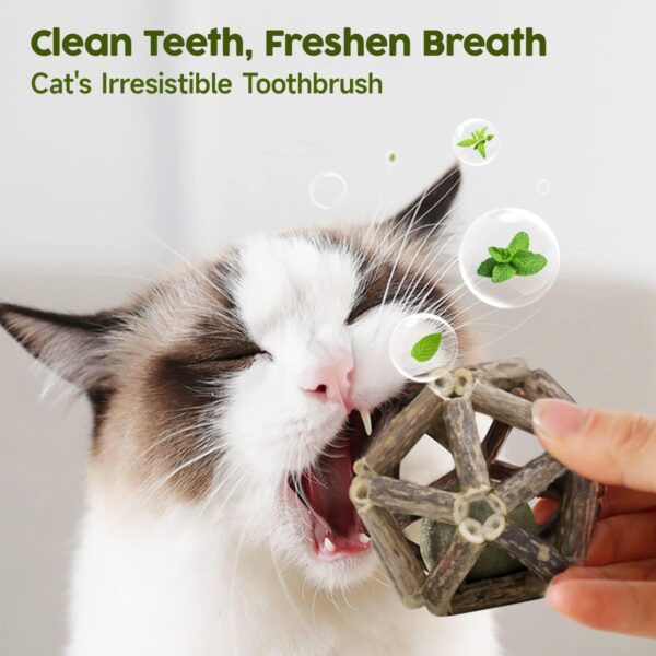 Potaroma Juguetes de hierba gatera, 3 piezas de juguetes para gatos, bolas de jaula de pino plateado natural y bola de campana para gatos de interior, limpieza de gatitos, molar matatabi, juguete