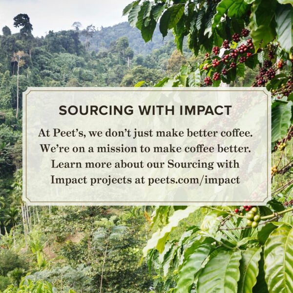 Peet's Coffee - Capsulas de café de mezcla Major Dickason, tostado oscuro, para cafetera Keurig